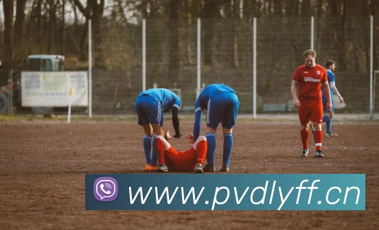 米兰app官网入口全站App